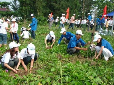 85 projects raise public awareness on environmental protection - ảnh 1